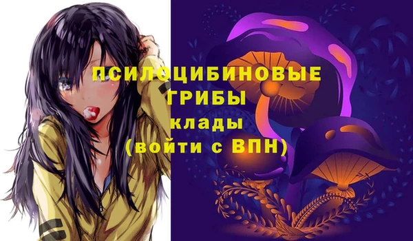 СК Алексеевка